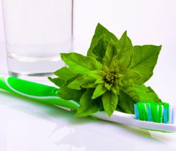 Mint and Toothbrush