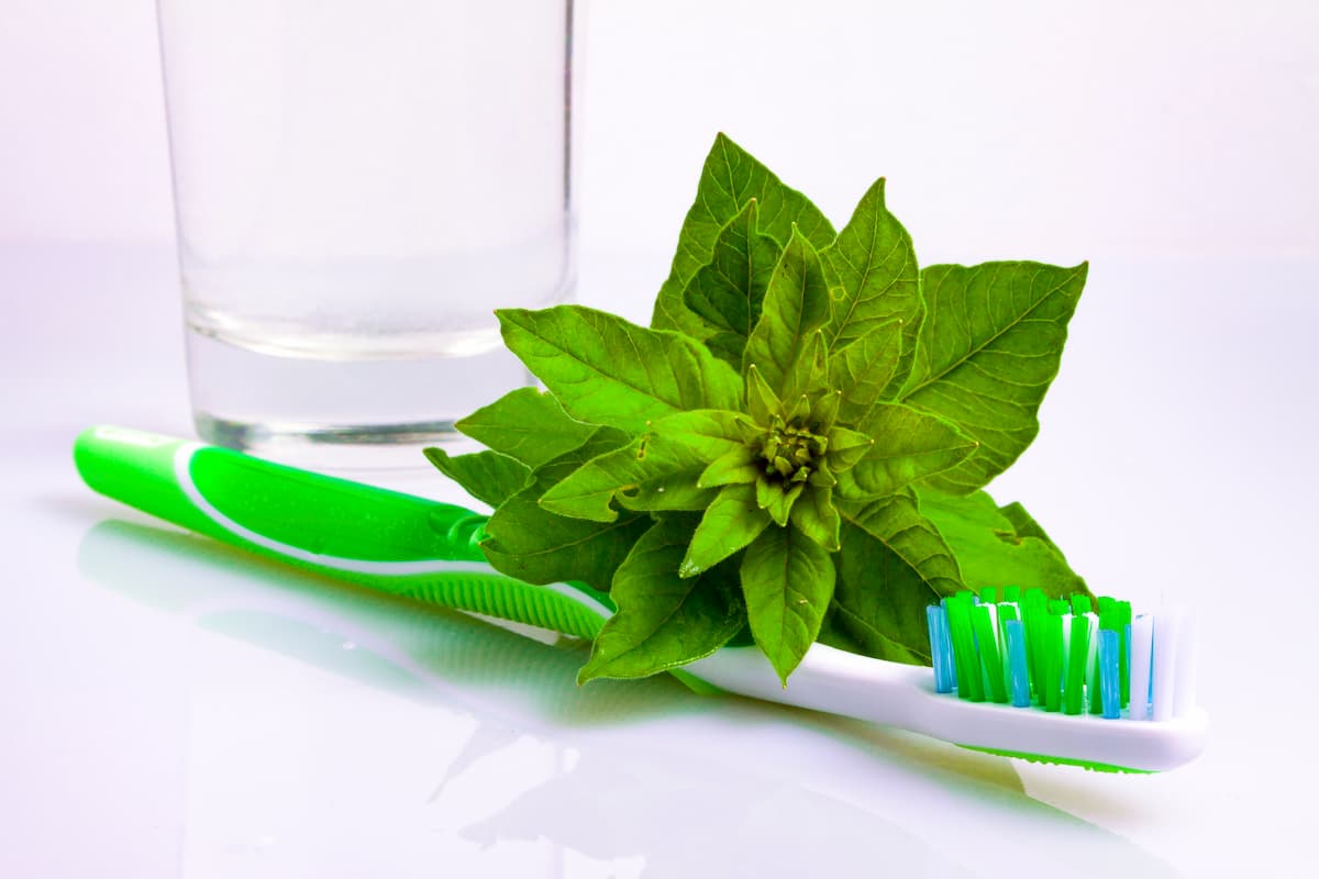 6 Summer Herbs that can Help with Your Oral Health